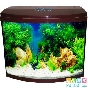 Купить аквариум с крышкой цвета венге и светодиодной подсветкой