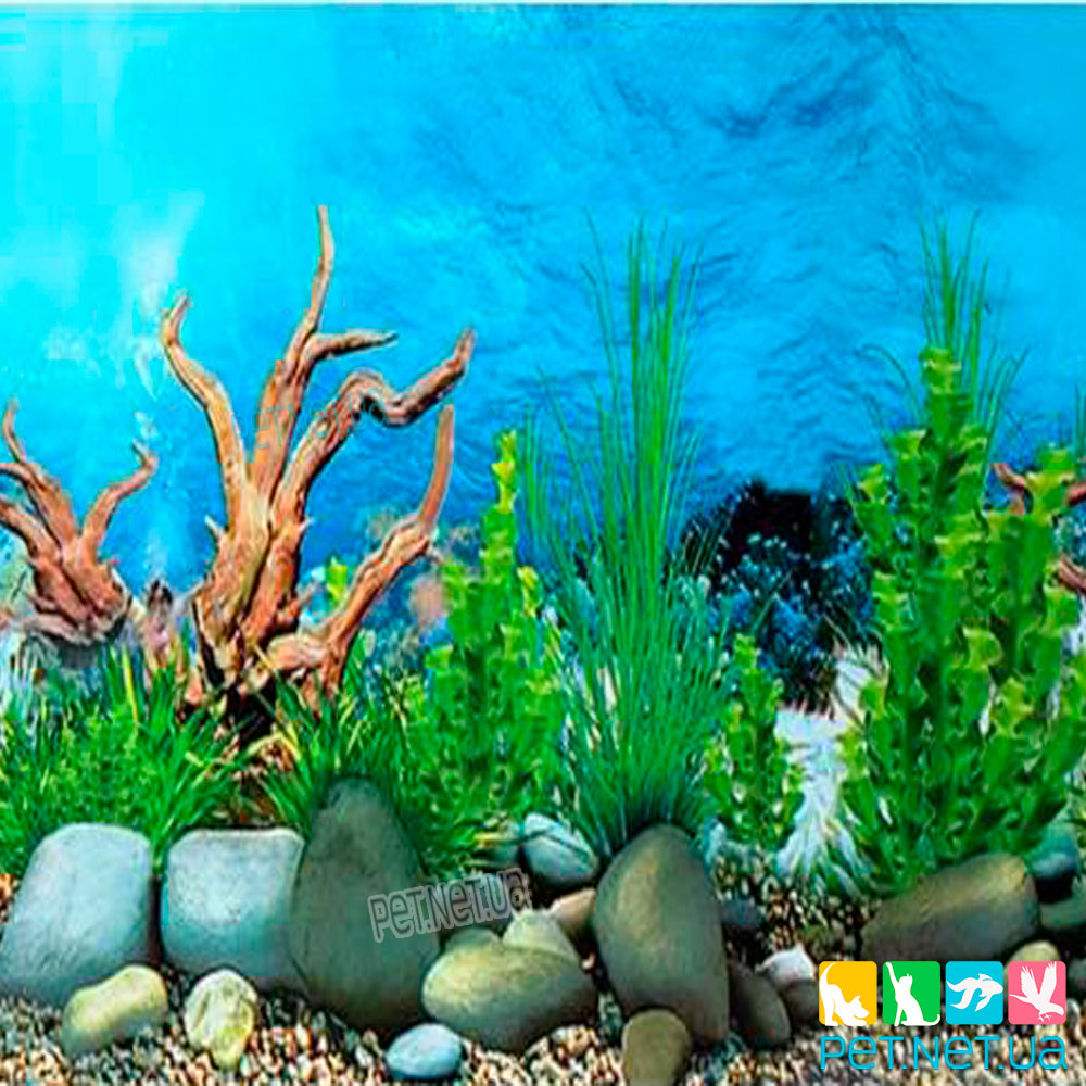 Aquarium background 497 Kiev
