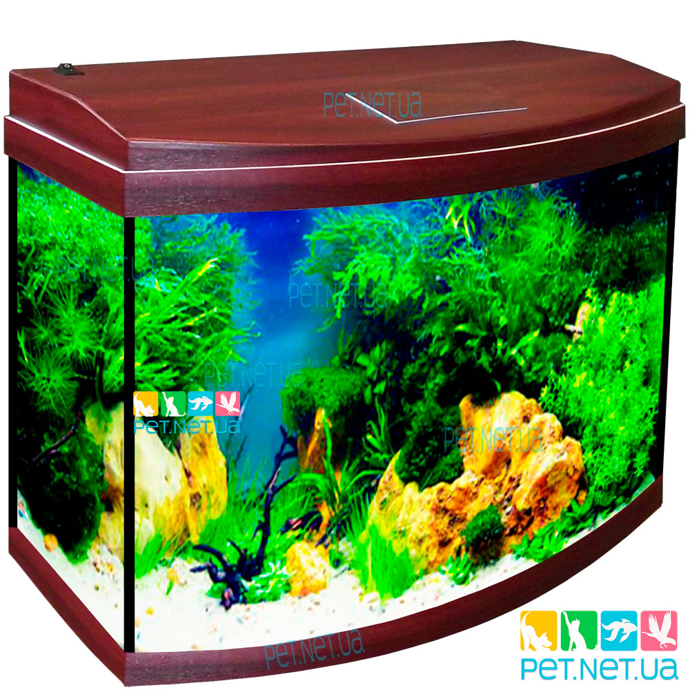 aquarium oval mahogany Fon 2