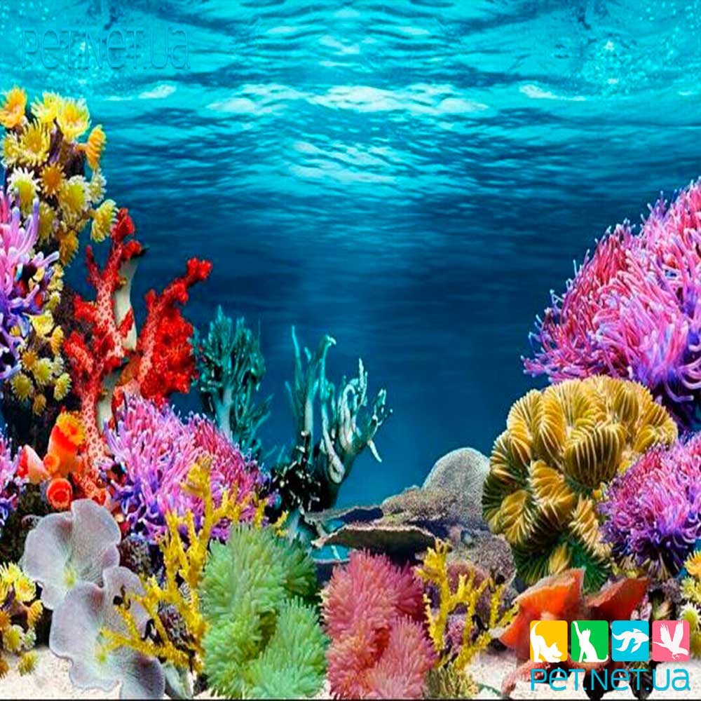 Aquarium background 1074