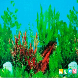 Красивый задний аквариумный фон двухсторонний высотой 30 см. кораллы и растения